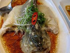 -至潮餐厅精致粤菜·活鲈鱼·走地鸡(珠江新城店)