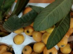-胡老三家土菜馆·老店地方特色菜·招牌茅山地锅老鹅