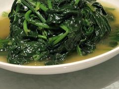 油淋菠菜-相思林金岛饭店(青山湖店)