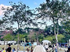 -白石龙音乐公园