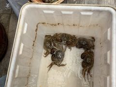 -水岸居湖景农家乐·阳澄湖大闸蟹