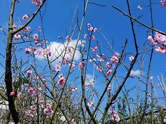 -白鹭湾湿地公园