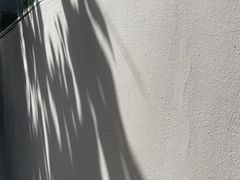 -Ocean's Table 欧舍