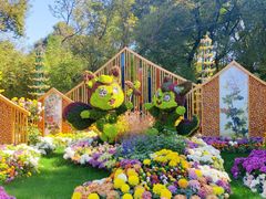 -上海共青森林公园