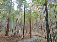 -敬亭山风景名胜区