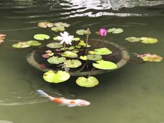 -粤剧艺术博物馆