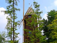 -昆山城市生态森林公园