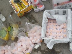 -双福水果批发市场