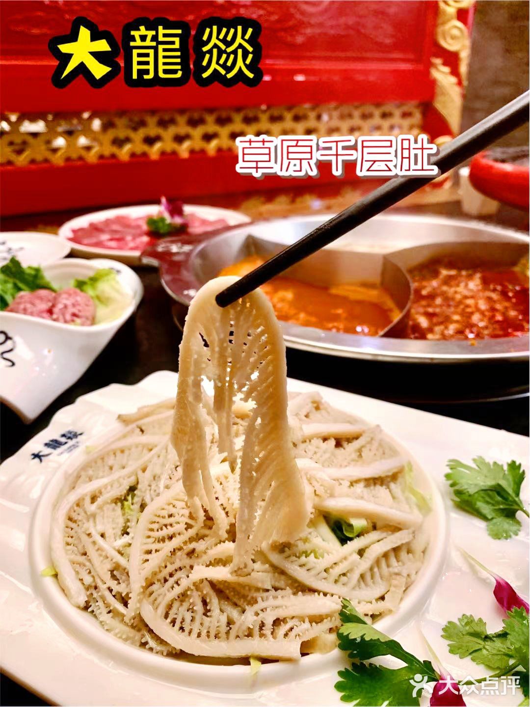 魔都火锅达人推荐🔥大龙燚