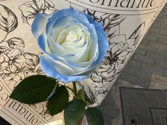 -FEI FEI FLOWER鲜花店·气球派对·宝宝宴布置(虹口德必运动Loft店)