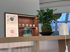 -长风拨筋养身(金虹桥店)