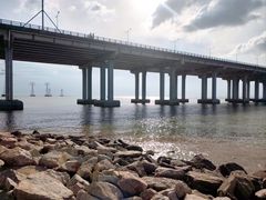 -宝安西湾红树林湿地公园