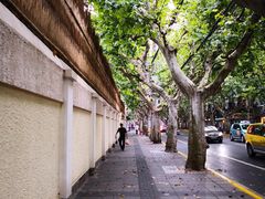 -复旦大学附属华山医院(总院)