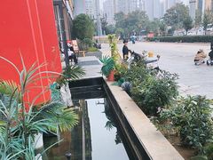 -荆楚渔艺堂·鱼头泡饭(江堤中路店)