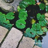 泉州的世外桃源🌳逃离城市 去享受大自然