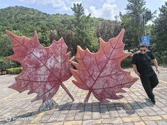 -北京十三陵国家森林公园蟒山景区