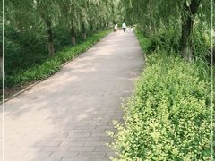 -云岗森林公园