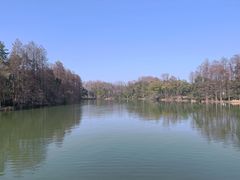 -东湖落雁景区