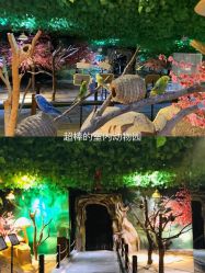 -酷嗒动物文化乐园(cutezoo西溪乐天城店)