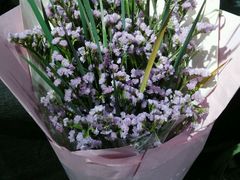 android_upload_pic-盛世荣兰花艺