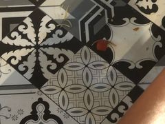 -比格比萨自助(万柳华联店)