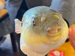 -永安鱼庄·镇江菜(丁卯店)