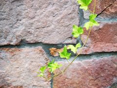 -上海市保健医疗中心