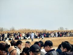 -盐城丹顶鹤湿地生态旅游区