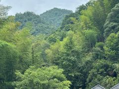 -花溪风景区