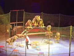 -珠海横琴长隆《卡卡虎奇遇记》