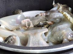 -德清诚信农产品莫干湖甲鱼直销店