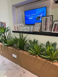 -好看加白色房子