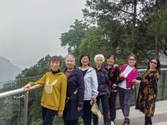 -铁山坪森林公园