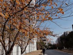 -南京航空航天大学(将军路校区)