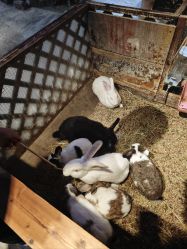 -酷嗒动物文化乐园(cutezoo西溪乐天城店)