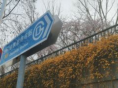 -玲珑塔公园