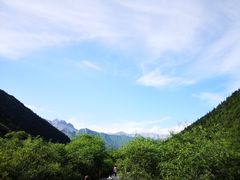 -黄龙山原始森林景区