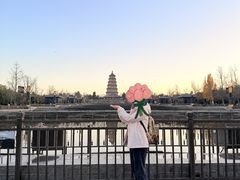 -大慈恩寺(大雁塔)