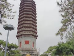 -西海子公园