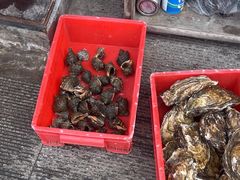 -捕渔人家海鲜私房菜(仙螺岛店)