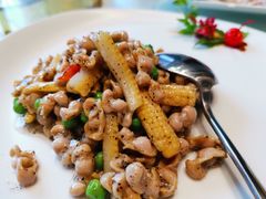 -蝶园·装修中(BFC外滩金融中心店)