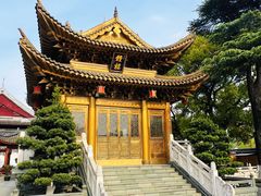 -上海东林寺(金山区)