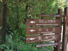 -阳台山自然风景区