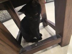 -夏家大锅台炖鱼馆