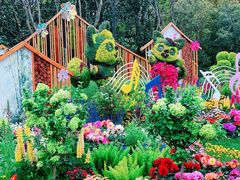 -上海共青森林公园