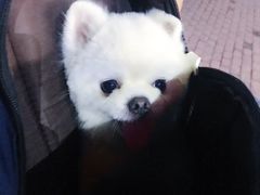 -添福来墨鱼饺子 · 海鲜东北菜(泡崖店)