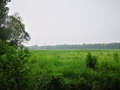 -东郊湿地公园