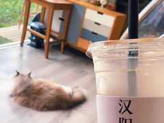 -灯塔咖啡馆BOOK·Coffee Shop