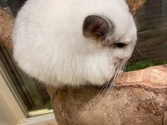 -龙猫仔乐园(惠福东路店)