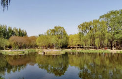 -将府公园儿童游乐场